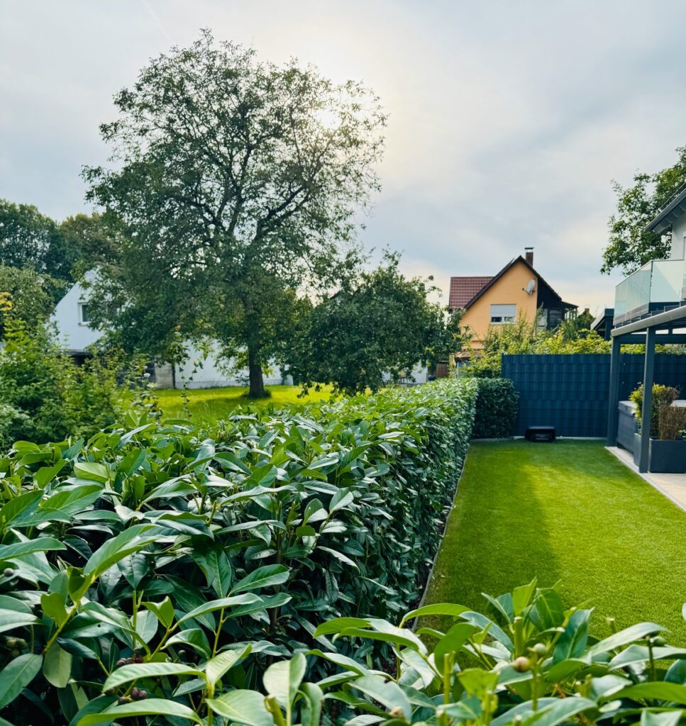 Gartenpflege Regensburg-Melzl Dienstleistungen