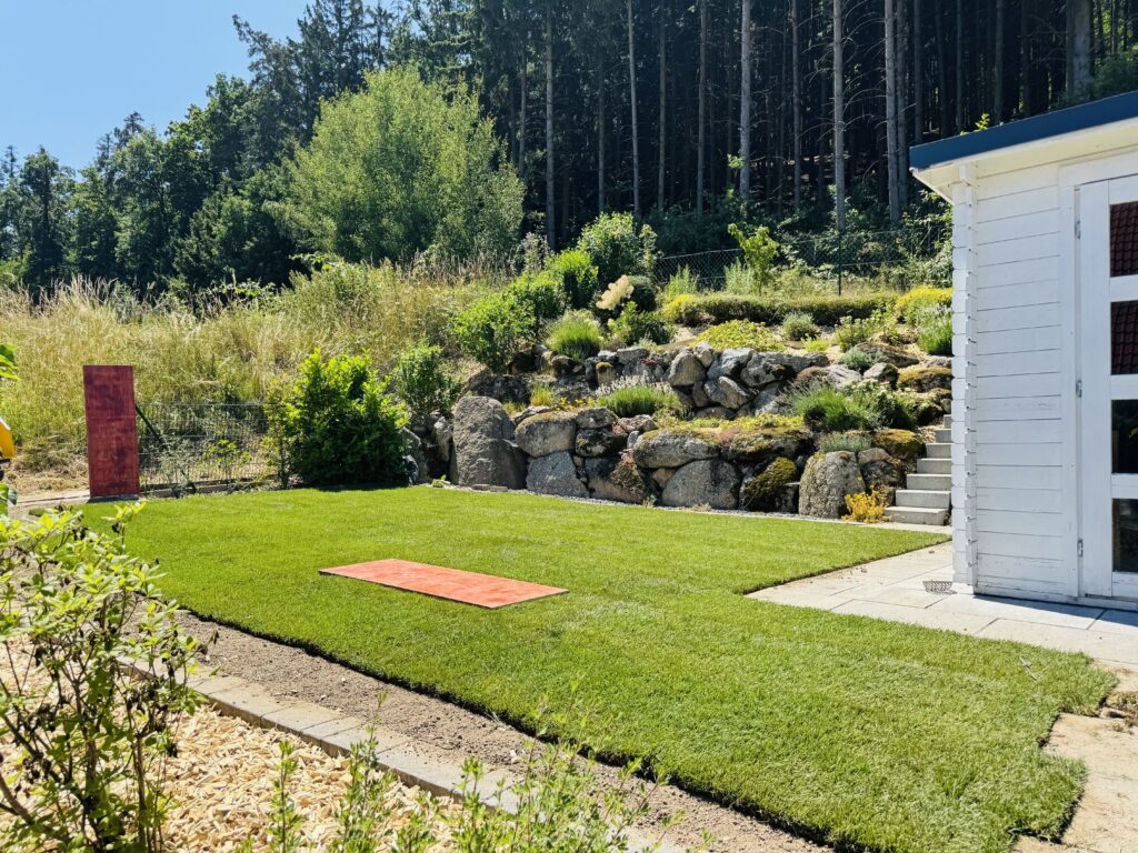 Rollrasenverlegung-Regensburg-Melzl Dienstleistungen (3)